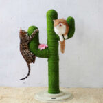 Two cats hanging from a scratching post cactus