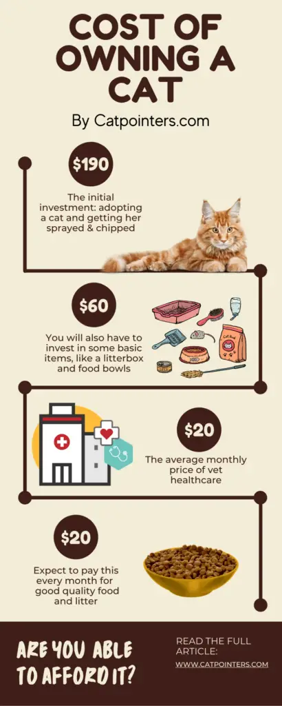 Infographic that shows all the various costs involved for keeping a cat