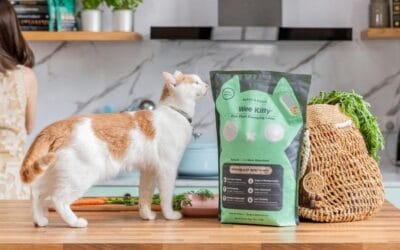 A cat next to a bag of tofu litter