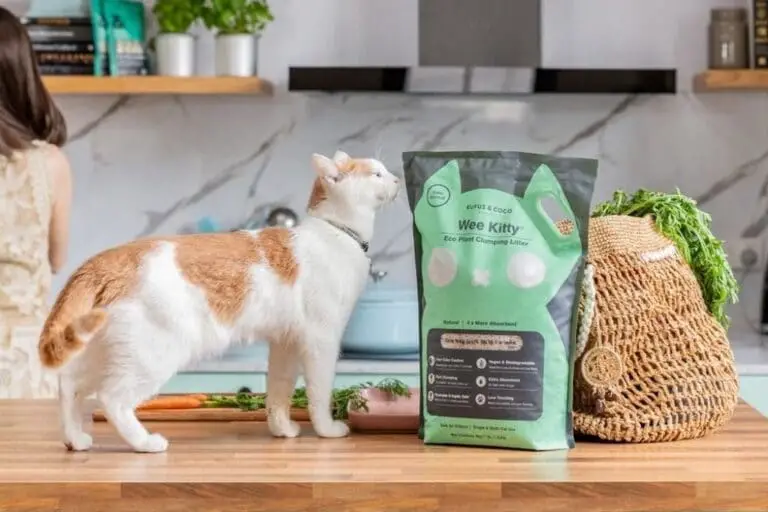 Best Tofu Cat Litter Pros And Cons (Buyer's Guide 2021) » CatPointers