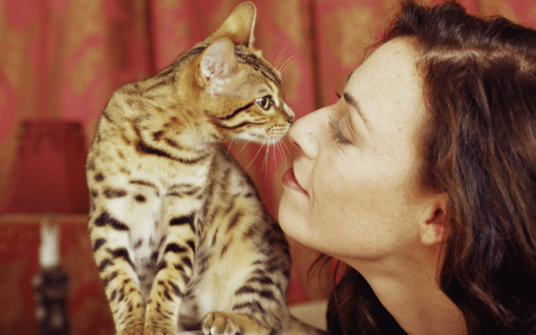 tabby cat sniffing woman's nose