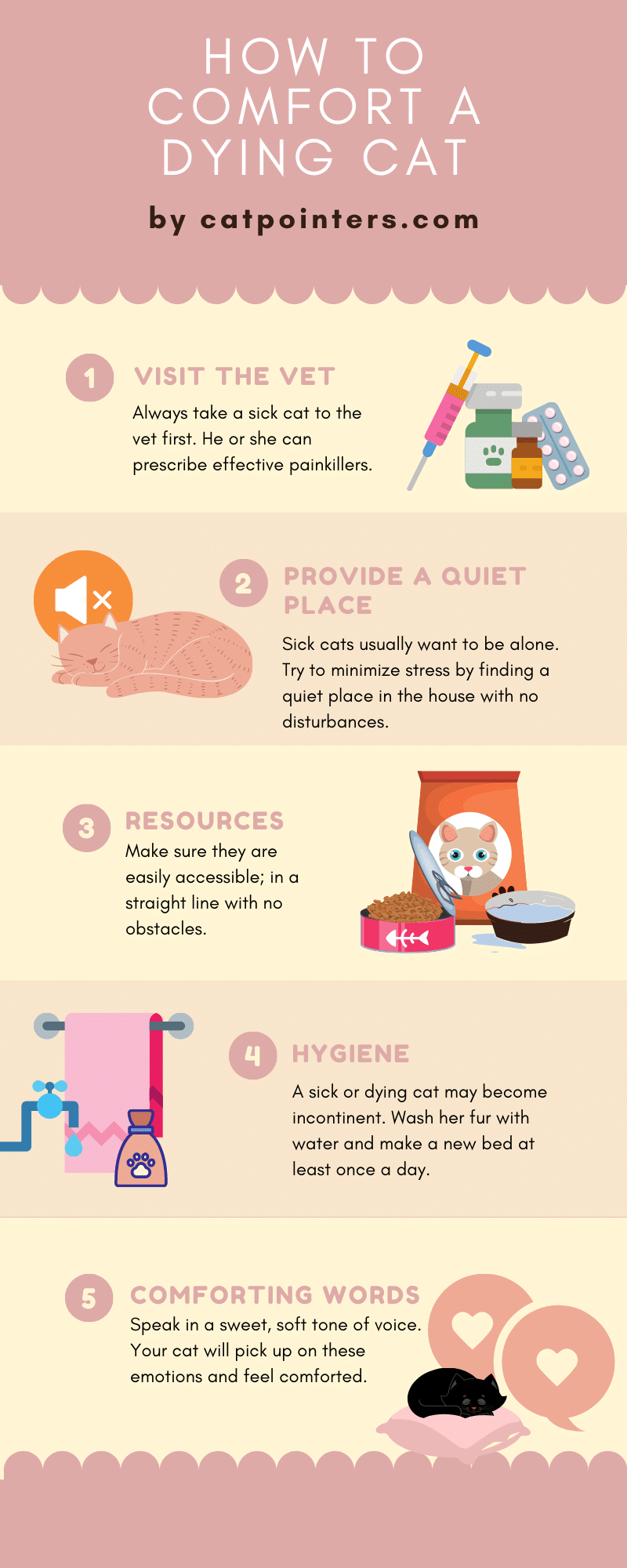 How To Comfort a Dying or Sick Cat at Home