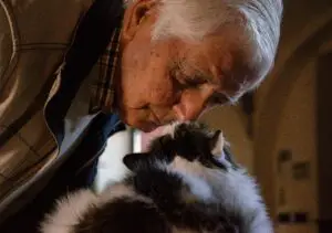Benefits of catsBenefits of Cats for Old People