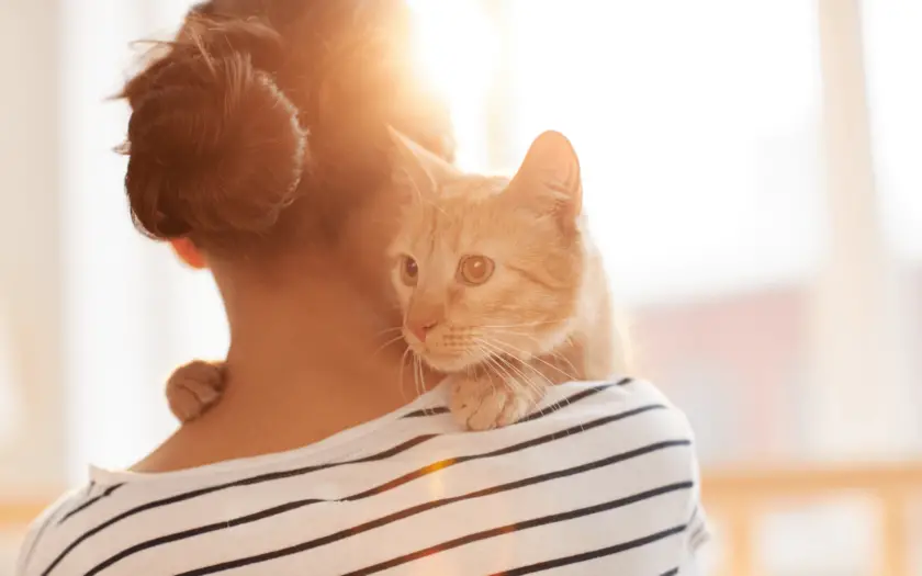 A woman in stripes hugs a ginger cat to say sorry