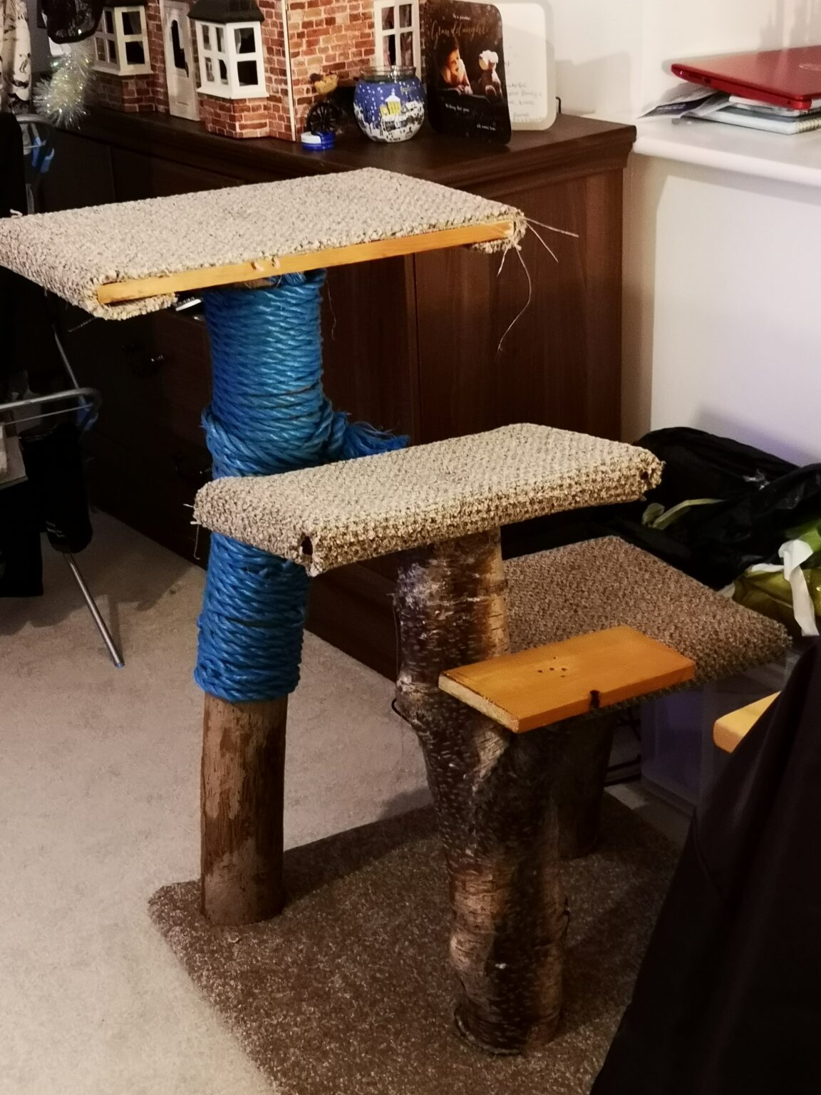 Enrichment For Cats The Ultimate List 14 Purrfect Ideas