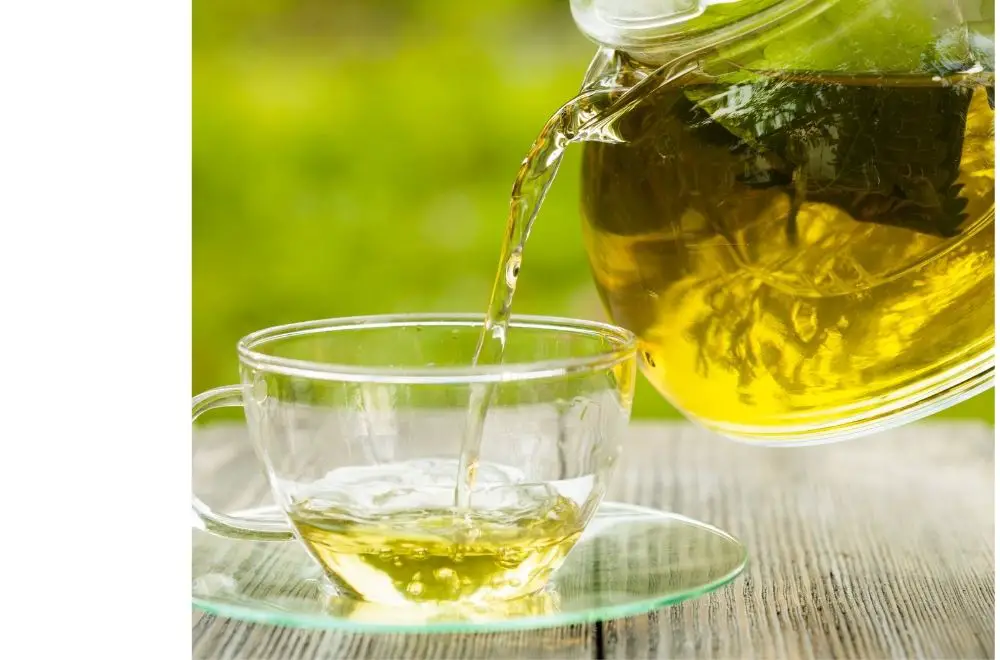 Catnip tea