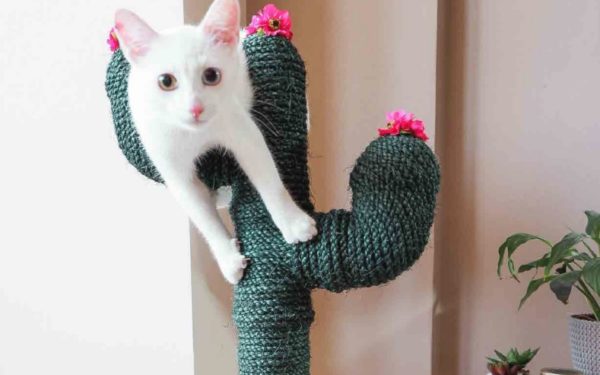 A white cat on a homemade scratch post