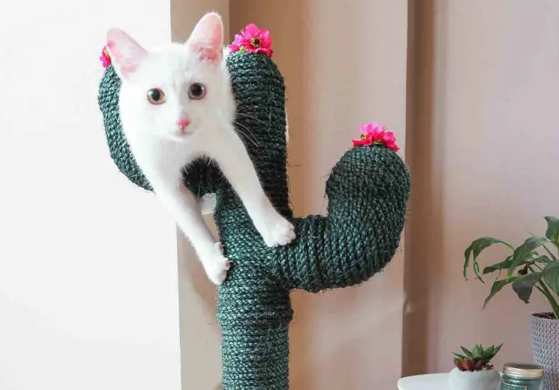 diy-cactus-cat-scratcher-step-by-step-guide-catpointers