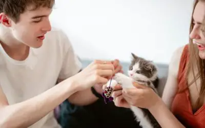 A family playing with their new kitten